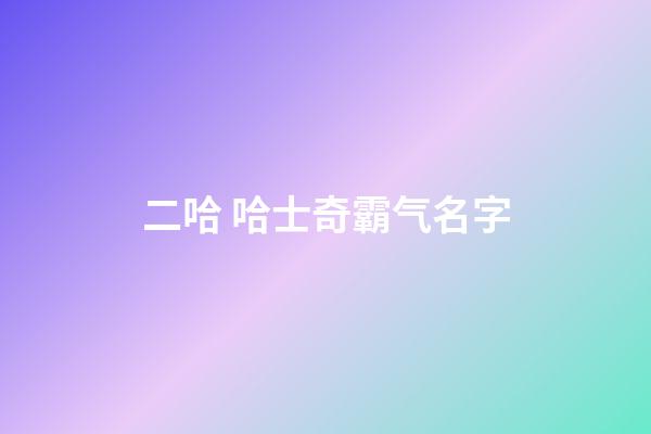 二哈 哈士奇霸气名字